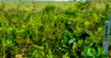 Terreno de 1.809,76m² no Condomínio Portal do Xaraés