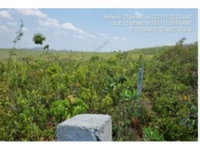 Terreno de 1.809,76m² no Condomínio Portal do Xaraés