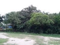 Terreno com 360,18m² em Tapes/RS