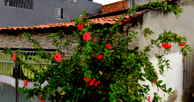 Casa com 57,86m² e Terreno com 142,3m² em Serrinha/BA