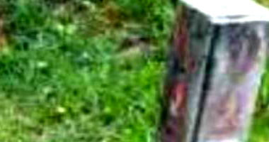 Lote de Terreno com 2.799,18m² na Vila Castela