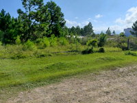 Terreno urbano 300m² em Passo de Torres - SC