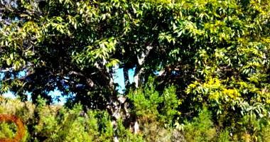 Terreno de 9,71 hectares com nascentes em Presidente Kubitschek