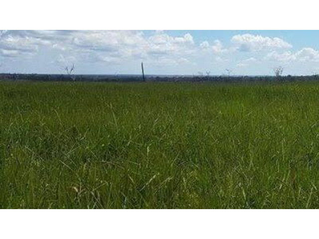 Fazenda 'Carabussu' com 459,80 hectares em Quissamã/RJ