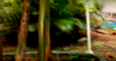 Casa em Freguesia (Jacarepaguá) - Rio de Janeiro/RJ