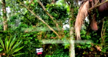 Terreno amplo de 2.701m² no Condomínio Primavera, desocupado