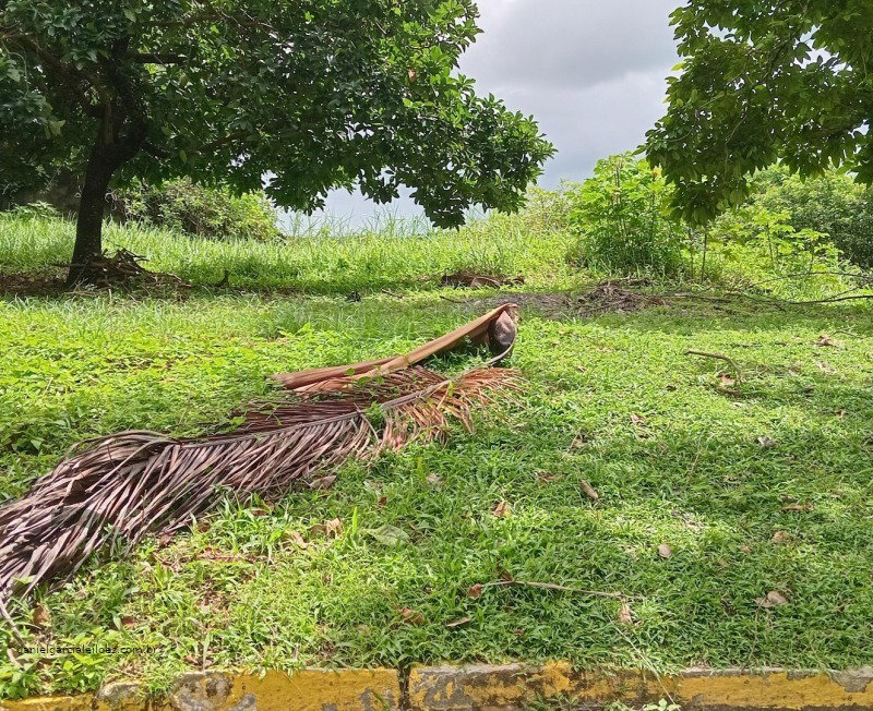Terreno de 1.108m² em Loteamento Dois Irmãos