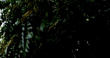 Apartamento com 1 vaga no Edifício Dona Efigênia