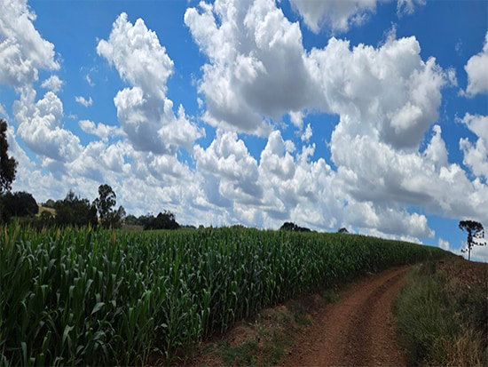 Terreno rural com 101.231,40m² em Virmond/PR