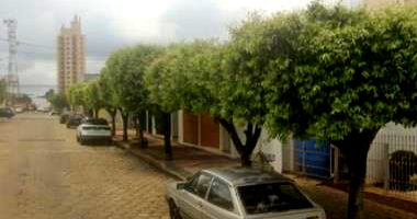 Casa com 3 quartos no Jardim Paraíso em Monte Alto/SP