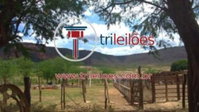 Gleba de Terras com 8,90ha em Ipubi/PE