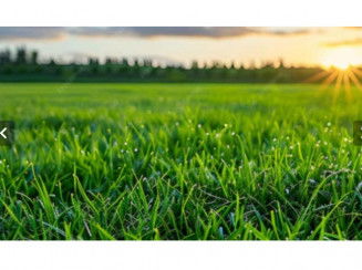 Terreno com 220m² em Dourados, lote 09, quadra 30, desocupado