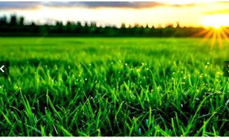 Terreno com 220m² em Dourados, lote 09, quadra 30, desocupado