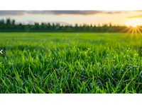 Terreno com 220m² em Dourados, lote 09, quadra 30