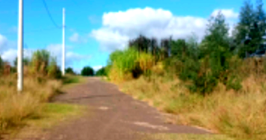 Terreno em Harmonia/RS com 299m²