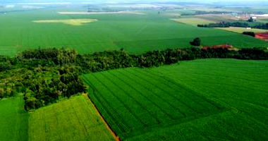 Imóvel Rural com 11,22ha em Palotina/PR