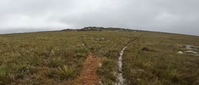 Área Rural de 12 ha sem benfeitorias