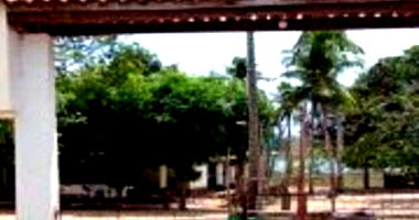 Área Rural com 236,19 hectares em Gualdrapas - Oportunidade Única!