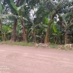 Fração ideal de 16,66% em área rural de 3.689,00m²