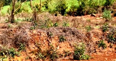 Terreno Urbano em Ipiranga do Sul com 607,45m²
