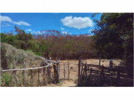 Sítio com 76,25 hectares e 3 casas em Santa Quitéria/CE