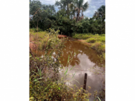 Sítio com 31,4 hectares, ideal para investimento rural