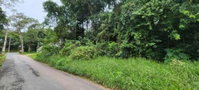 Terreno de 2.000 m² no Barreirinha, Curitiba - Potencial Residencial