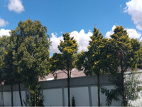 Imóvel Comercial/Industrial 2.398m² em 9.000m² Terreno