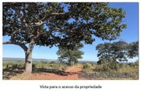 Fazenda Rural em Ivolândia - GO