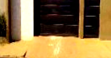 Casa com 3 quartos, 3 banheiros, varanda e área construída de 197,22 m²