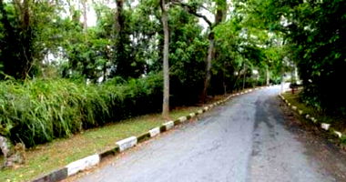 Terreno de 1.000m² no Jardim Algarve - Oportunidade Única!