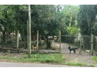 Casa com 94m² em Guaíba/RS - Oportunidade única!