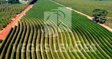 Imóvel Rural com 15,83ha de Área Total e Água - Ocupado