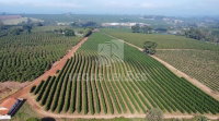 Imóvel Rural com 15,83ha de Área Total e Água -