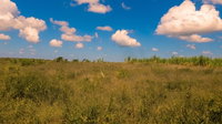 Fazenda Canoas com 130 hectares em Matriz de Camaragibe/AL