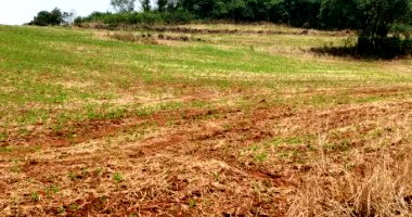 Terreno Rural 129.900m² em Redentora/RS - Oportunidade de Investimento