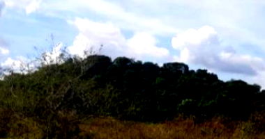 Sítio com 14ha no Núcleo Colonial São Bento - Oportunidade!