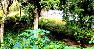 Terreno Residencial 403m² Desocupado em Porto Alegre/RS