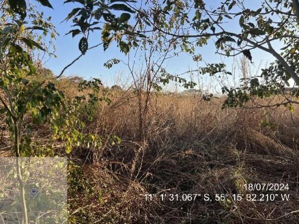 Terreno amplo com 10.000m² de área privativa e terreno