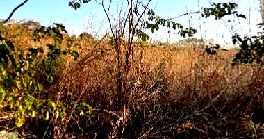 Terreno amplo com 10.000m² de área privativa e terreno