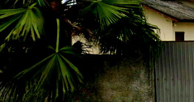 Terreno com Casa Edificada em Criciúma/SC