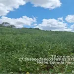 Lote Rural com 72.333,33m² e Benfeitorias em Erval Seco - RS