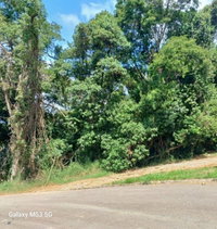 Terreno Urbano Amplo com Potencial de Construção