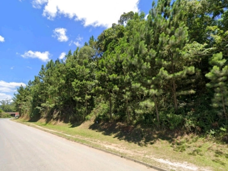 Terreno Urbano de 16.581m² em Taió/SC - Ótima Localização