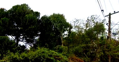 Galpão Industrial Amplo em Três Rios/RJ