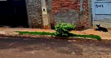 Casa com 1 banheiro, 1 vaga e 43,95m² área privativa