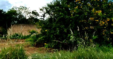 Terreno com 161m² no Parque da Cidade, pronto para construir