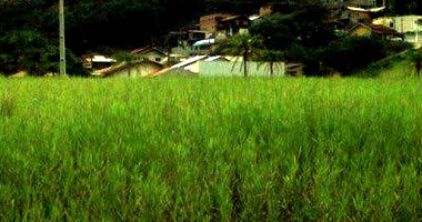 Terreno Urbano Desocupado em Brusque - 1.713,47m²