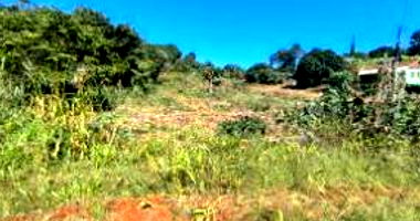 Terreno Urbano com 1.000m² em Três Passos/RS