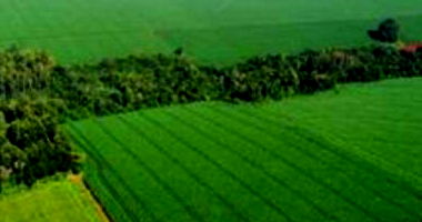 Imóvel Rural com Área Total de 11,22ha em Palotina/PR